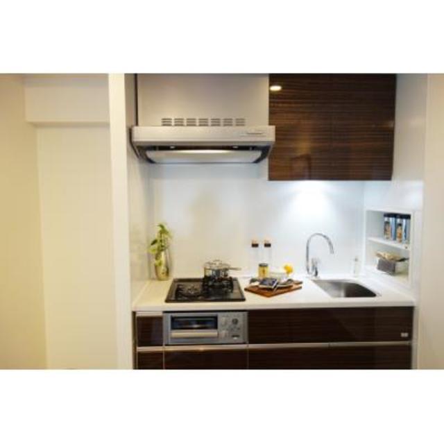 パークアクシス飯田橋レジデンス（501） 部屋画像