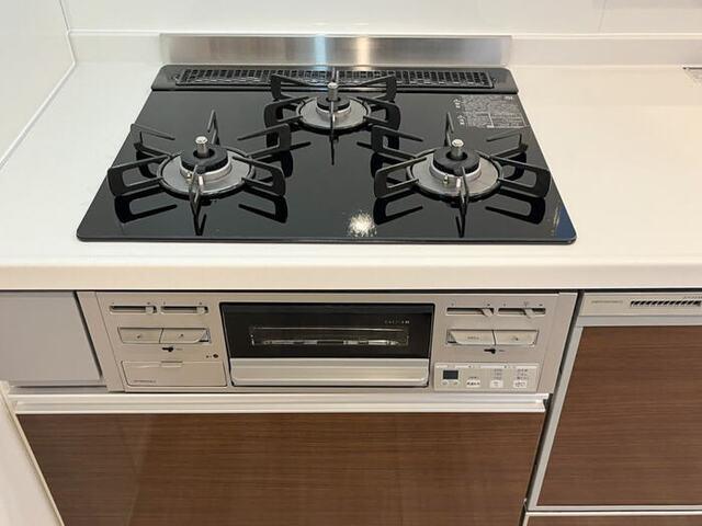 グラナーデ弥生町（302） 部屋画像