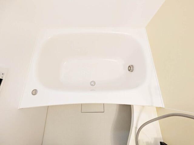シャルマンステラ　C（101） 部屋画像