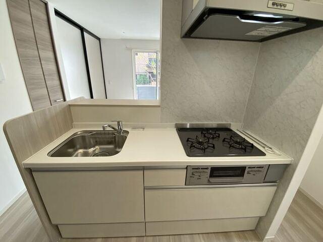 サウスヒルズ世田谷（101） 部屋画像