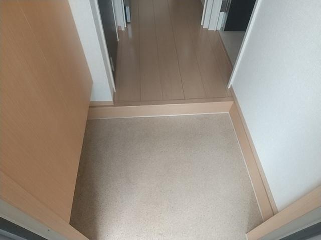 プリームス　Ｃ棟（C102） 玄関