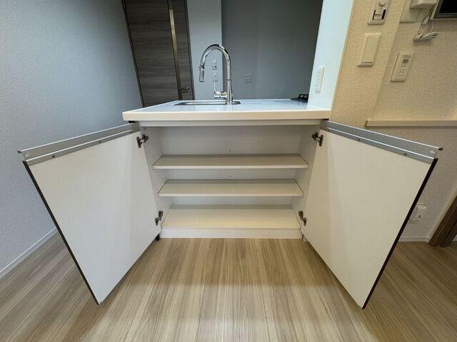 セレスティア細田C（101） 部屋画像