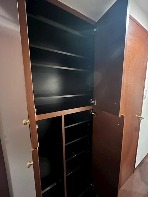 渋谷区千駄ヶ谷マンション 収納