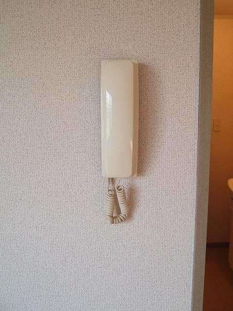 ドルチェ・カサグランデ（203） 部屋画像