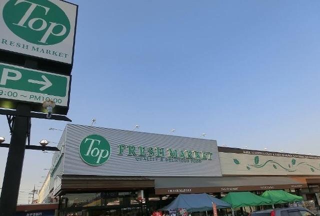 トップ：290m