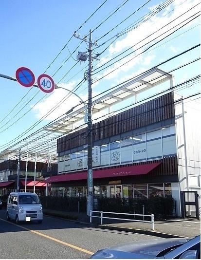 若葉ケヤキモール：400m