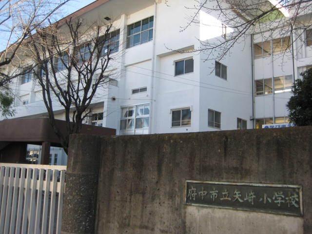 府中市立矢崎小学校：781m