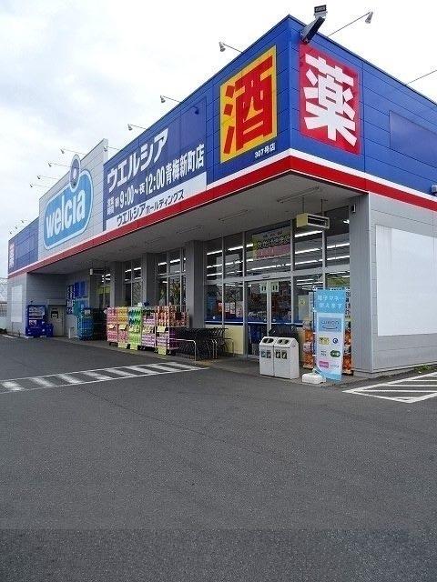 ウェルシア青梅新町店：450m