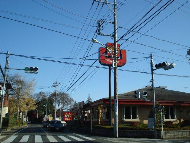 ガスト東大和蔵敷店（から好し取扱店）：916m