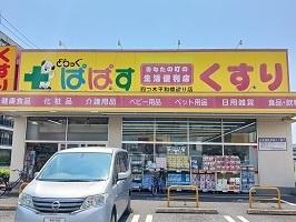 どらっぐぱぱす：330m