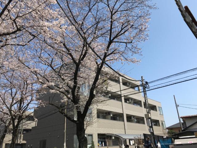 シルク南参道Ｒ 物件画像