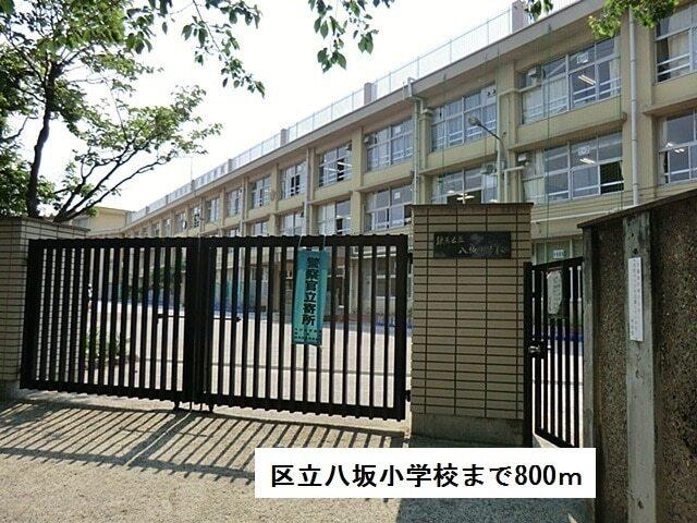 区立八坂小学校：800m