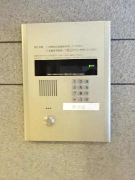 パインパレス（903） その他