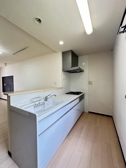 西彼杵郡長与町高田郷テラスハウス キッチン