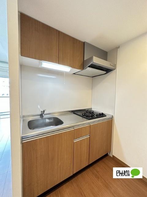 Apartment Grus Okamachi（305） キッチン
