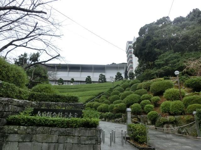 私立長崎総合科学大学：3902m