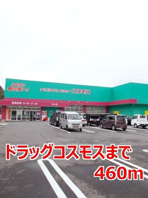 ドラッグコスモス：460m