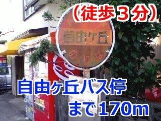 自由ヶ丘バス停：170m