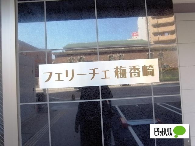 フェリーチェ梅香崎（405） その他
