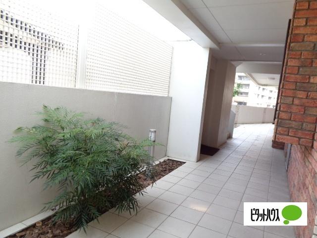 modern palazzo 文教（501） その他