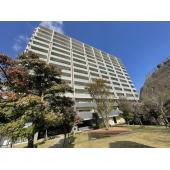 重厚感のある14階建てのマンション♪陽をたっぷりと浴びれるエリアです！