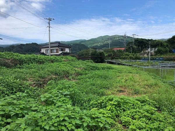 長浦町土地 土地