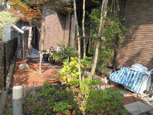 矢上町中古戸建 庭