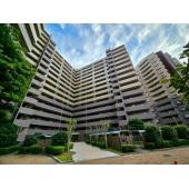 住環境良好で幅広い年代の方に人気のマンションです☆