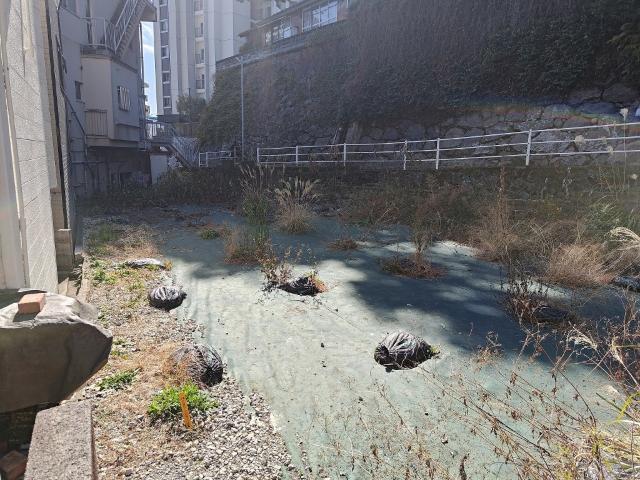土地1