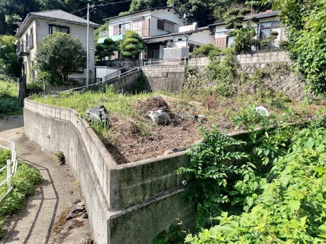 土地1