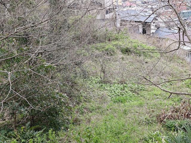 中小島2丁目土地 土地
