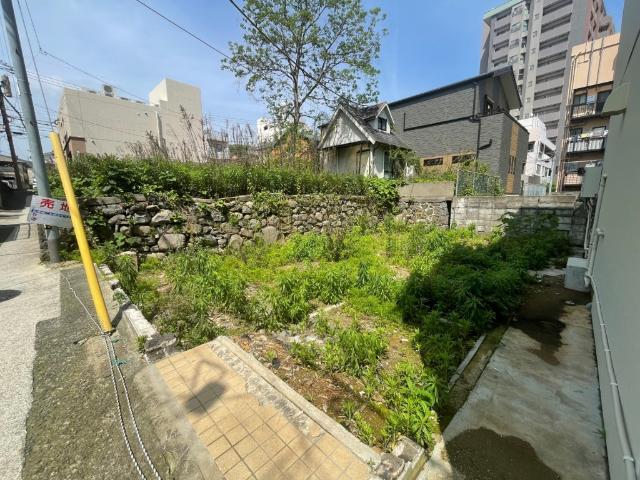土地2