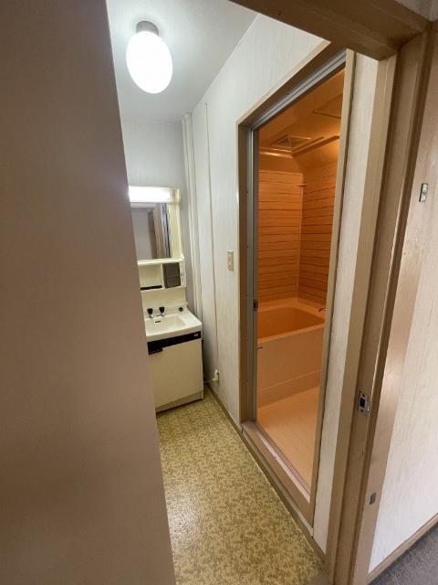 ボンヌール泉町マンション（302） 洗面