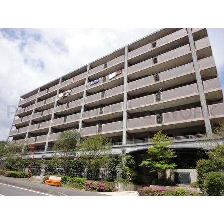 周囲に高い建物が無く全戸に心地よい採光を