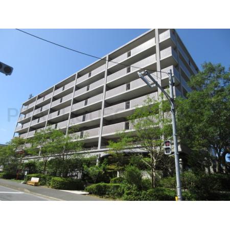 周辺はＭｒＭＡＸやマックスバリュ、ダイレ