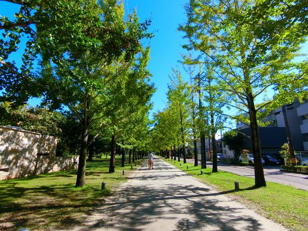 公園