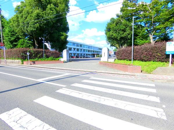 中学校