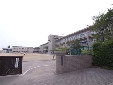 山手小学校：1608m