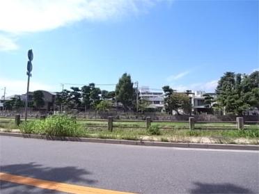 神戸市立東灘小学校：859m