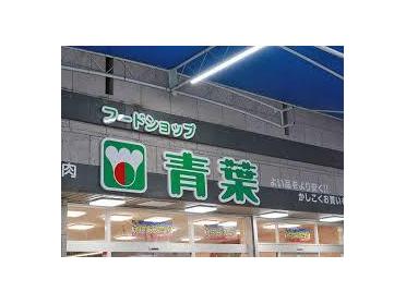 フードショップ青葉 桜の町店：756m