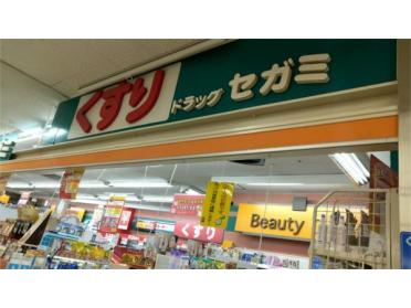 ココカラファイン ドラッグセガミ瑞光店：276m