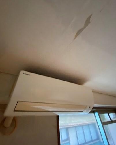 メゾンシンセイ 部屋画像