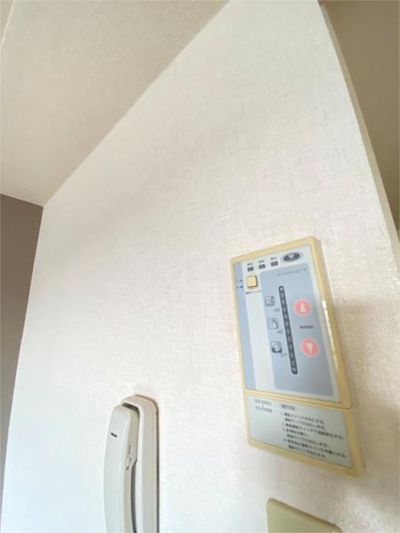 ソフィア辻井 その他