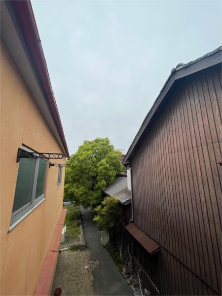 パールハイツ 部屋画像