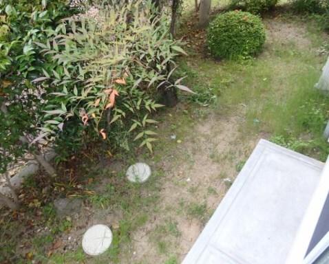 叶い坂 部屋画像