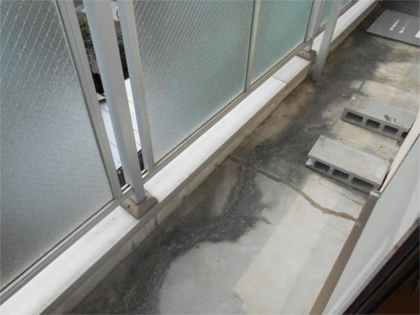 ピュアコート北八代 部屋画像