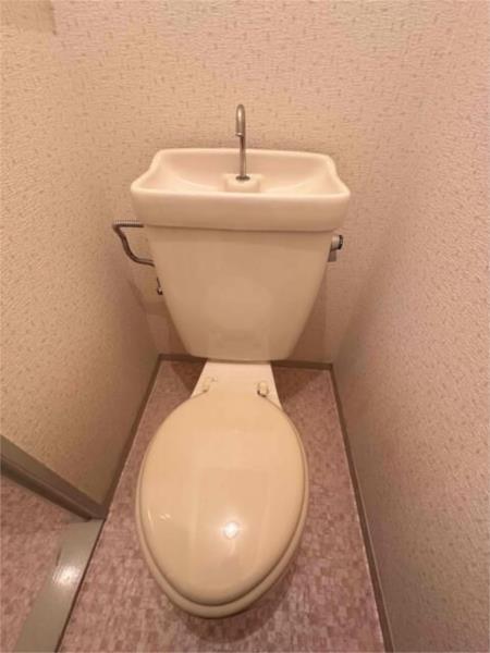 ハイツ梅ヶ枝 トイレ