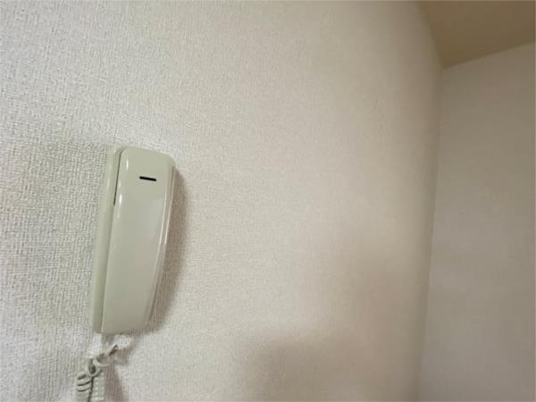パレスイナバ セキュリティ