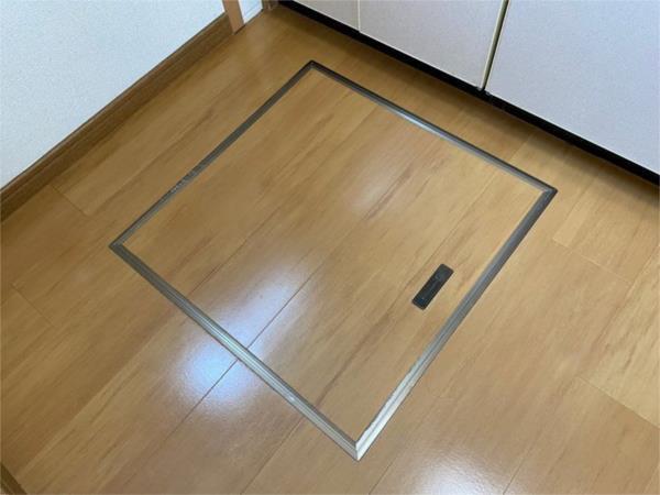 アムラインB その他