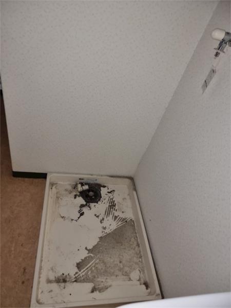 神戸市西区白水マンション その他